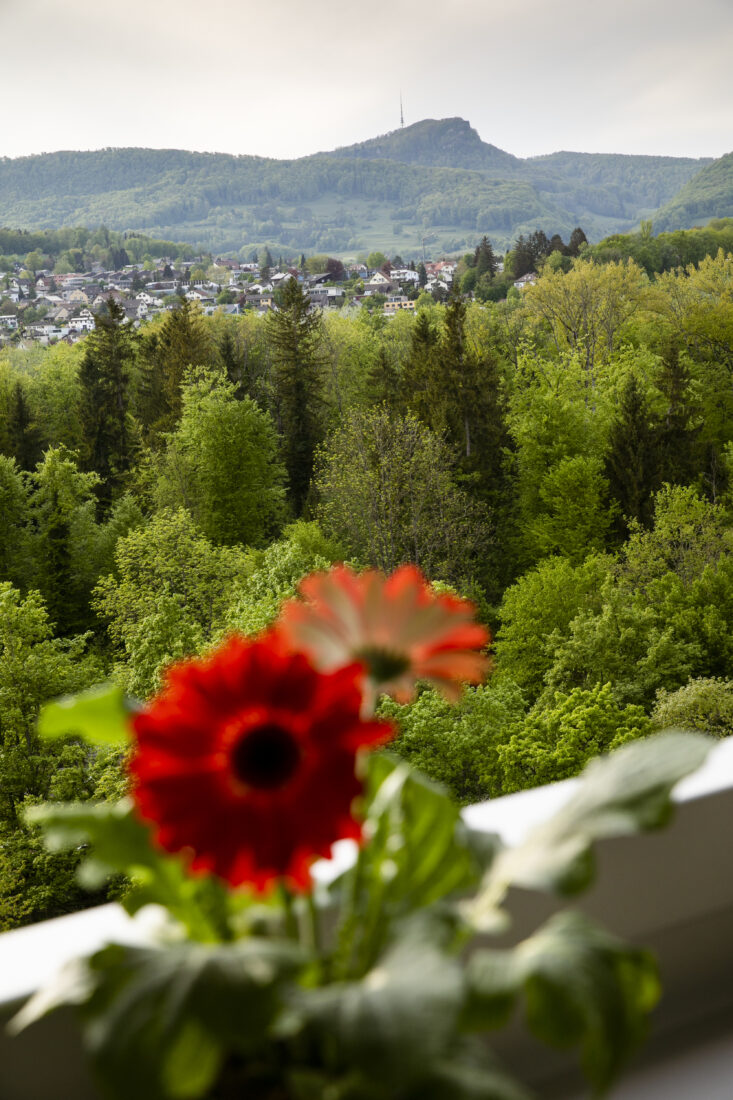 Telli, Aussicht Telli C 10. Stock
